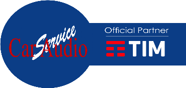 Logo Car Audio Service